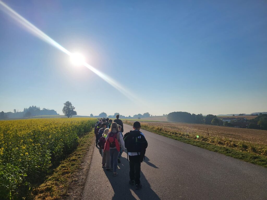 Schulkinder wandern auf einem Feldweg zwischen Feldern der tief stehenden Sonne entgegen
